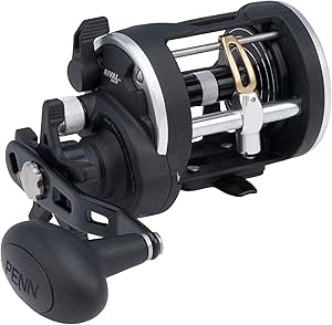 Penn Rival Level Wind 20 RVL20LW Trolling Reel