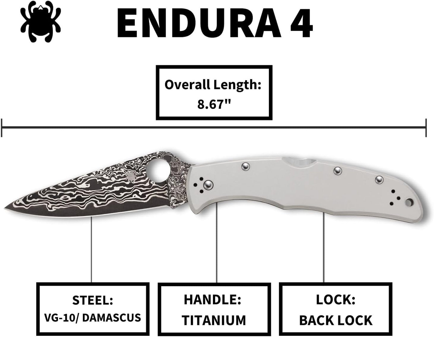 Spyderco Endura VG-10 Damascus Blade Plainedge Titanium Handle Folding Knife C10TIPD Japan Made Lifetime Warranty